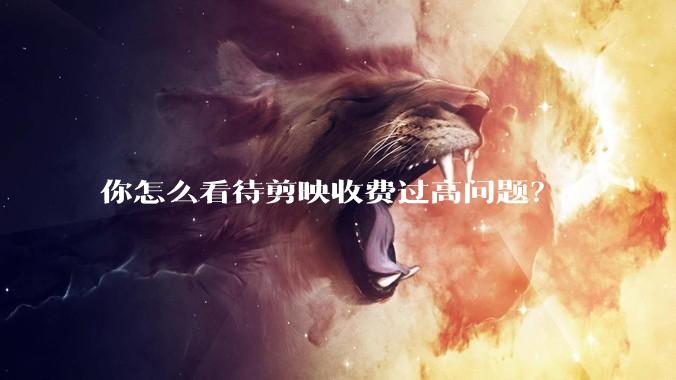 你怎么看待剪映收费过高问题？