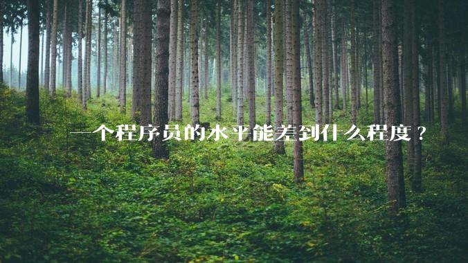 一个程序员的水平能差到什么程度?