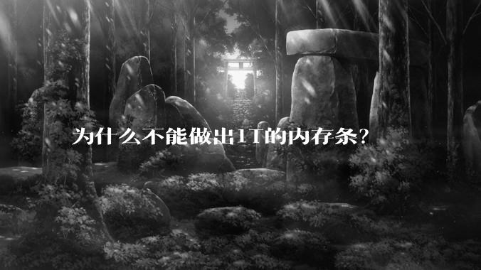 为什么不能做出1T的内存条？