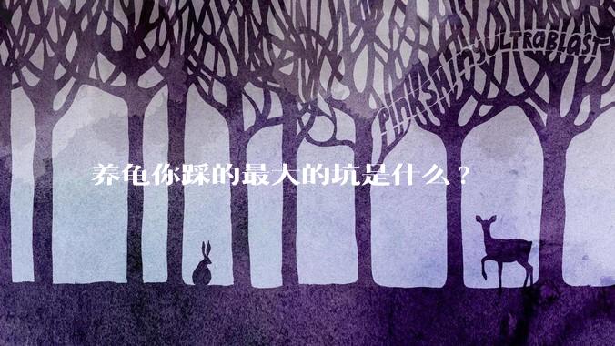 养龟你踩的最大的坑是什么?