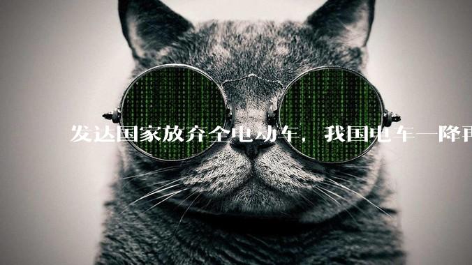 发达国家放弃全电动车，我国电车一降再降，高举发展新能源汽车大旗，电车会变成中国车企自嗨吗？