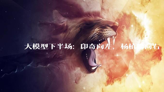 大模型下半场：印奇向左，杨植麟向右_阶跃_融资_资本