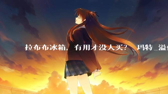 拉布布冰箱，有用才没人买？_玛特_溢价_泡泡