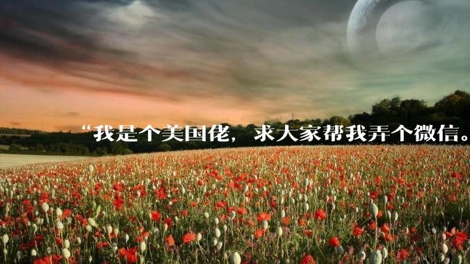 “我是个美国佬，求大家帮我弄个微信。”_DeepSeek-TUI_Hunter_Code