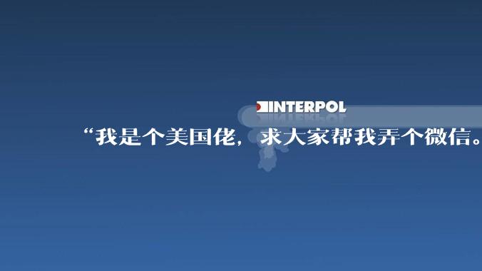 “我是个美国佬，求大家帮我弄个微信。”_DeepSeek-TUI_Hunter_Code