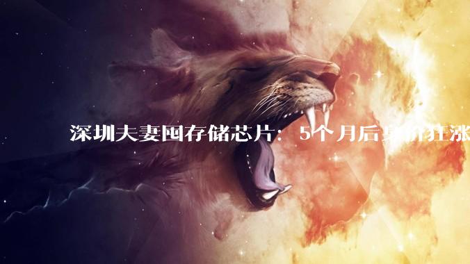 深圳夫妻囤存储芯片：5个月后身价狂涨320亿元_德明利_李虎_服务器