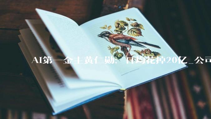 AI第一金主黄仁勋：日均花掉20亿_公司_投融资_包括