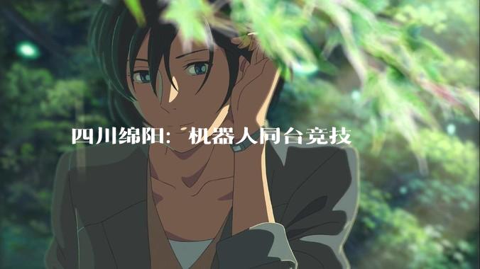 四川绵阳：机器人同台竞技