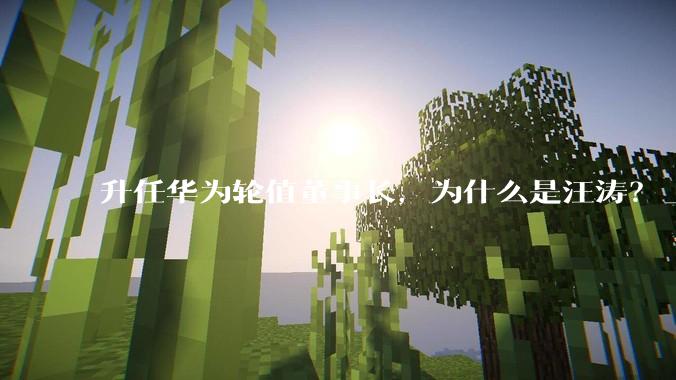 升任华为轮值董事长，为什么是汪涛？_业务_技术_胡厚崑
