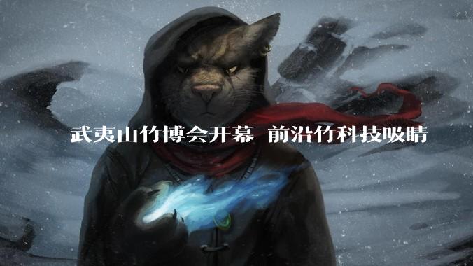 武夷山竹博会开幕 前沿竹科技吸睛