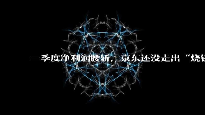 一季度净利润腰斩，京东还没走出“烧钱阵痛”_业务_同比增长_Joybuy