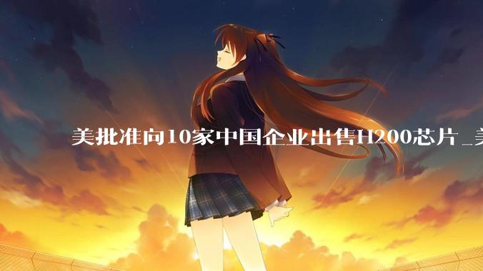 美批准向10家中国企业出售H200芯片_美国商务部_字节_出口