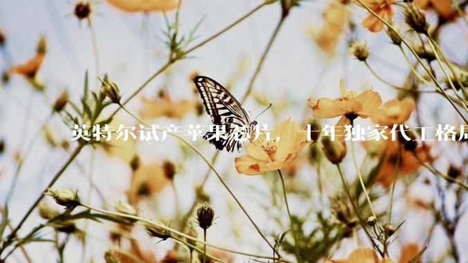 英特尔试产苹果芯片，十年独家代工格局迎来变局_郭明_Mac_合作