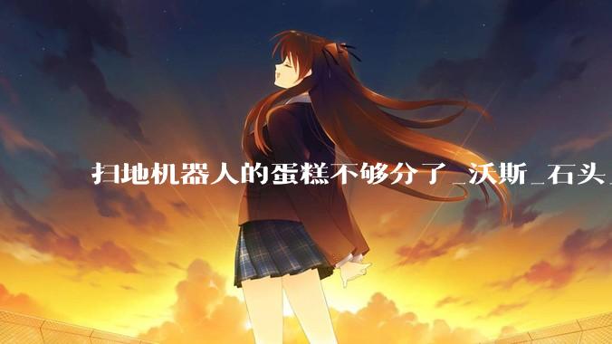 扫地机器人的蛋糕不够分了_沃斯_石头_市场