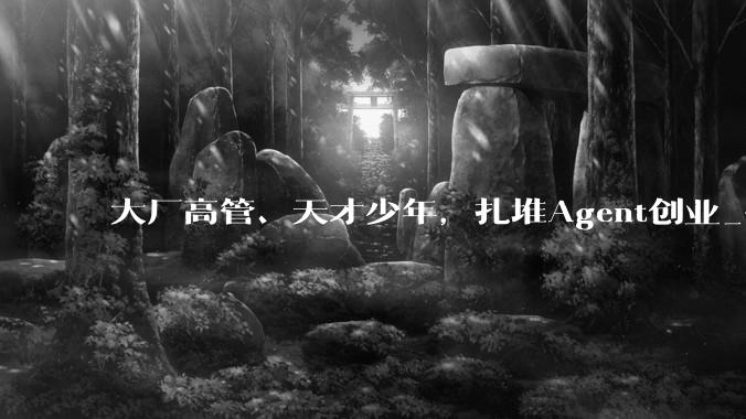 大厂高管、天才少年，扎堆Agent创业_平台_工作_黑客