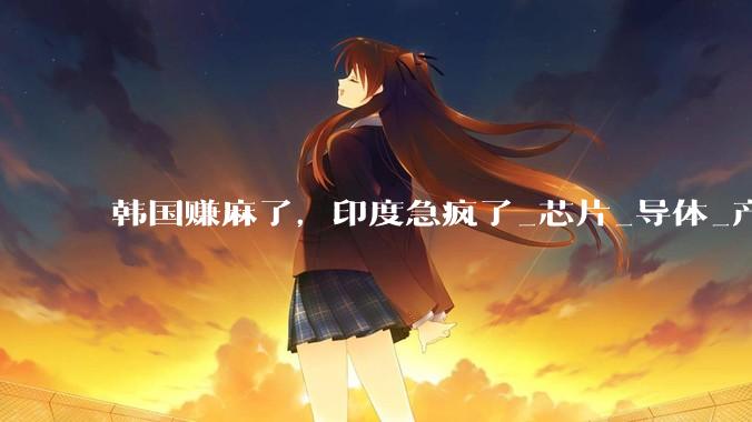 韩国赚麻了，印度急疯了_芯片_导体_产业