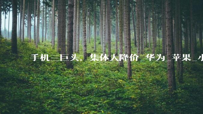 手机三巨头，集体大降价_华为_苹果_小米
