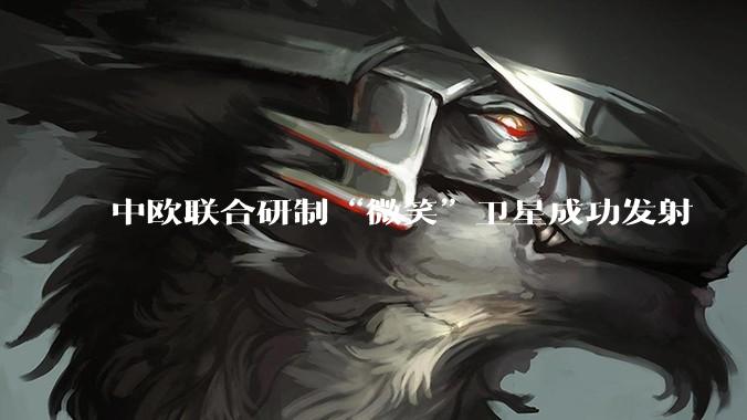 中欧联合研制“微笑”卫星成功发射