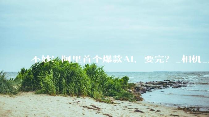 不妙！阿里首个爆款AI，要完？_相机_应用_写真