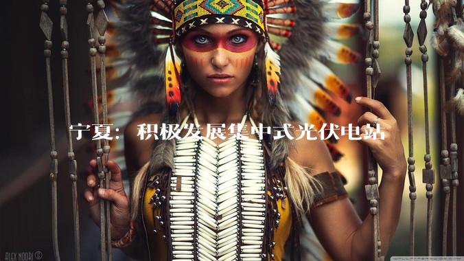宁夏：积极发展集中式光伏电站