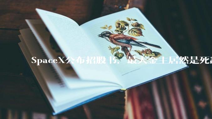 SpaceX公布招股书，最大金主居然是死敌Anthropic_星链_业务_公司