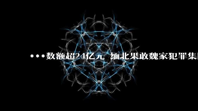 ***数额超24亿元 缅北果敢魏家犯罪集团主案一审开庭_陈大卫_被告人_公民