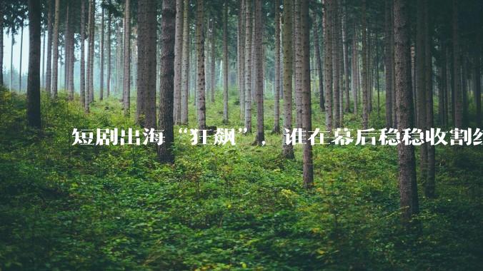 短剧出海“狂飙”，谁在幕后稳稳收割红利？_MaskGCT_DataEye_FlexTV