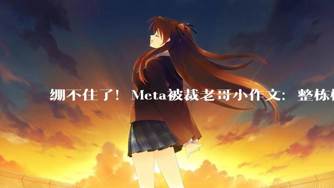绷不住了！Meta被裁老哥小作文：整栋楼都在讲普通话_中国_工作_吐槽