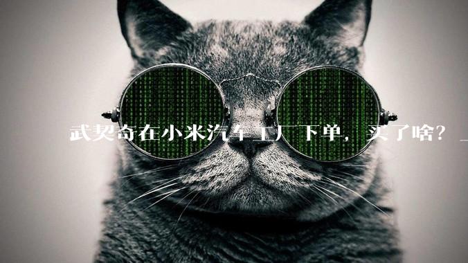武契奇在小米汽车工厂下单，买了啥？_Ultra_塞尔维亚_中国文化中心