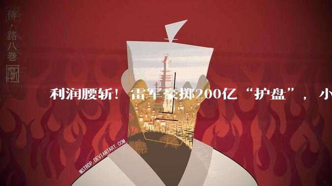 利润腰斩！雷军豪掷200亿“护盘”，小米一季度怎么了？_业务_汽车_同比