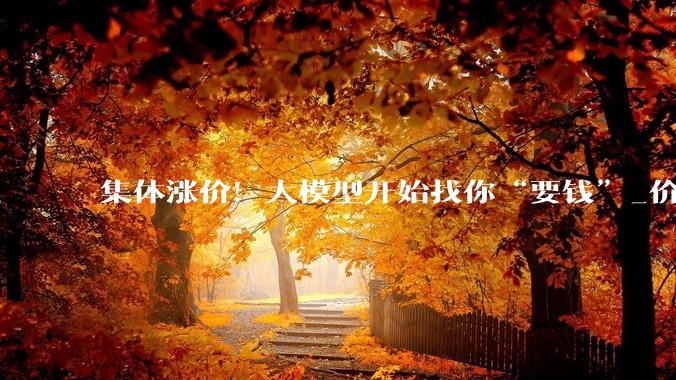 集体涨价！大模型开始找你“要钱”_价格_-Pro_Token