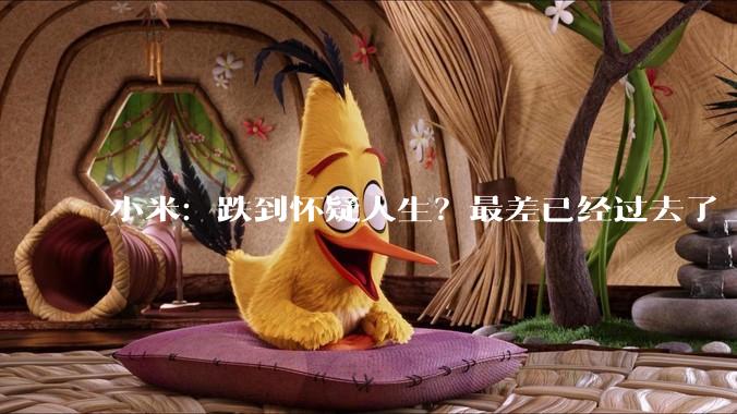 小米：跌到怀疑人生？最差已经过去了_汽车_公司_影响