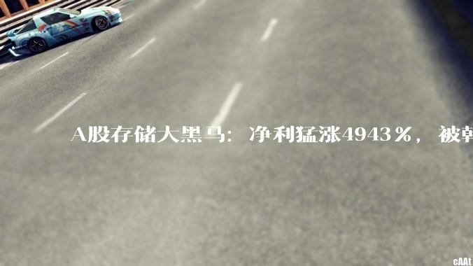 A股存储大黑马：净利猛涨4943%，被韩国人抢疯了_德明利_二级市场_周期