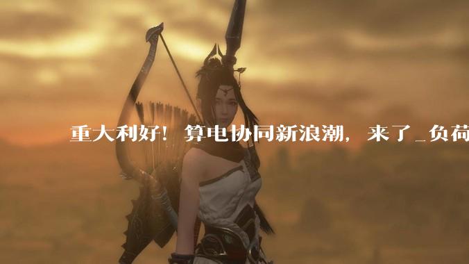 重大利好！算电协同新浪潮，来了_负荷_运行_电力