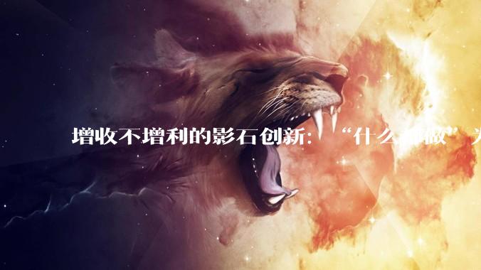 增收不增利的影石创新：“什么都做”为何成了最大的战略陷阱？_相机_品类_市场