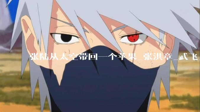 张陆从太空带回一个苹果_张洪章_武飞_任务