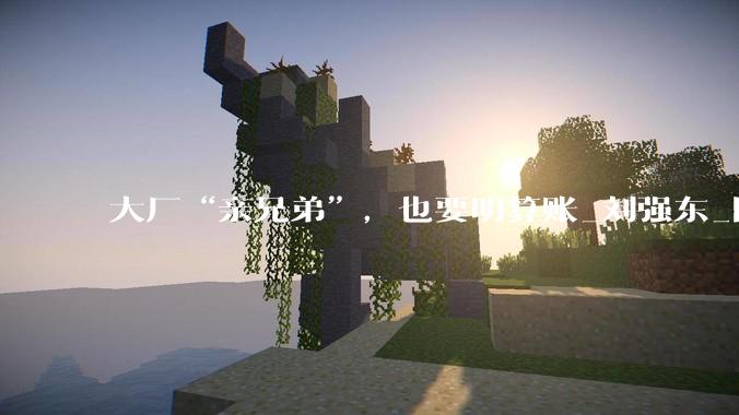 大厂“亲兄弟”，也要明算账_刘强东_阿里_蓝领工人