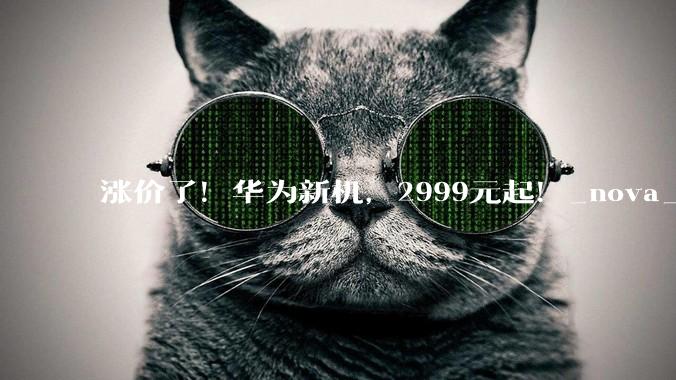 涨价了！华为新机，2999元起！_nova_HarmonyOS_定价