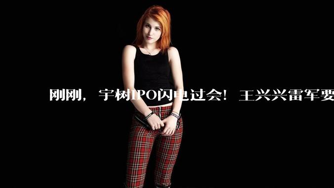 刚刚，宇树IPO闪电过会！王兴兴雷军要上岸了_机器人_科技_人形