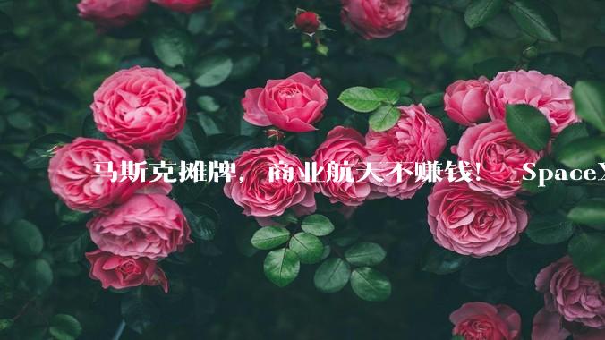 马斯克摊牌，商业航天不赚钱！_SpaceX_租赁_招股书