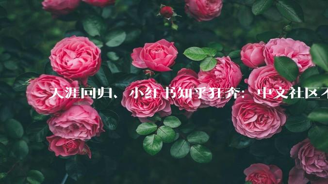 天涯回归、小红书知乎狂奔：中文社区不相信情怀_用户_互联网_平台