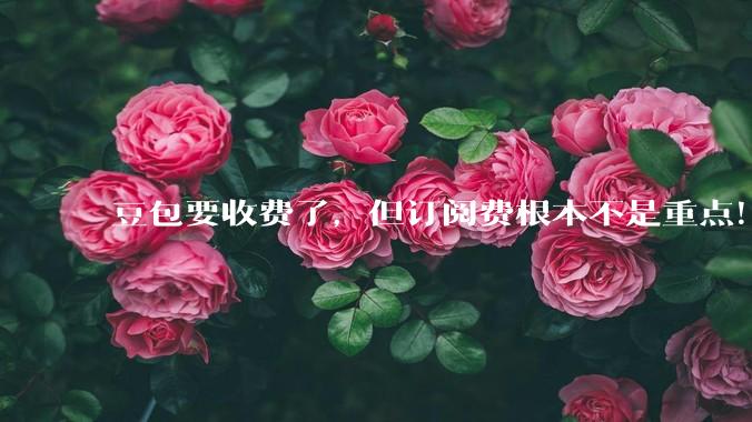 豆包要收费了，但订阅费根本不是重点！大模型厂商在下一盘什么棋？_用户_Token_ChatGPT