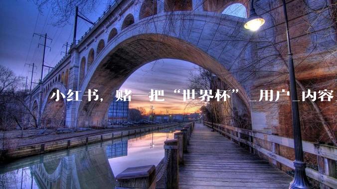 小红书，赌一把“世界杯”_用户_内容_平台
