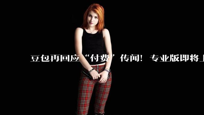 豆包再回应“付费”传闻！专业版即将上线，面向这些专业人群_服务_消息_网友