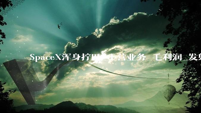 SpaceX浑身拧巴_主营业务_毛利润_发射