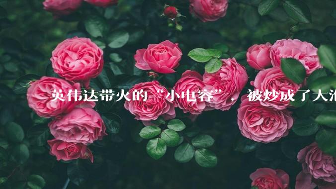 英伟达带火的“小电容”，被炒成了大泡沫_周期_需求_服务器