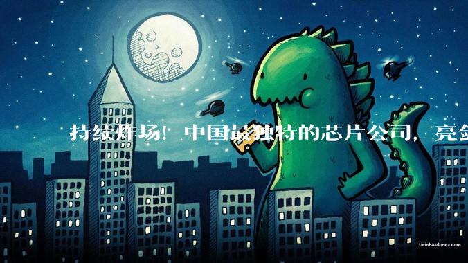 持续炸场！中国最独特的芯片公司，亮剑了_阿里云_体系_架构