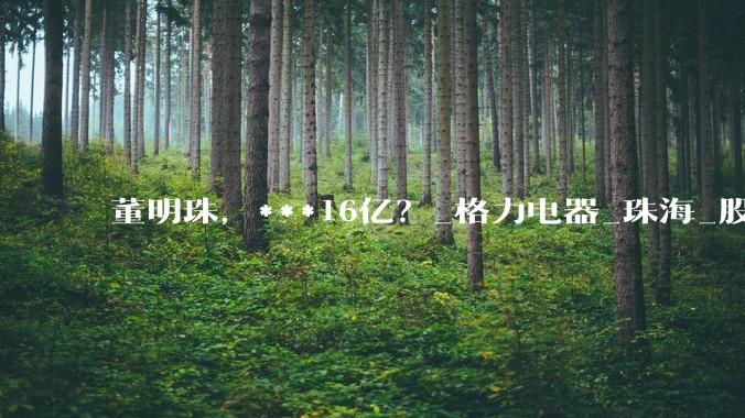 董明珠，***16亿？_格力电器_珠海_股份