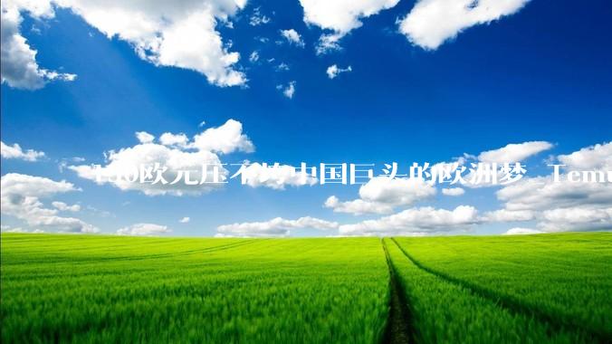 150欧元压不垮中国巨头的欧洲梦_Temu_和平台_跨境