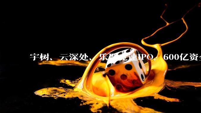 宇树、云深处、乐聚竞速IPO，600亿资金疯狂***，具身智能迎生死战？_机器人_企业_人形